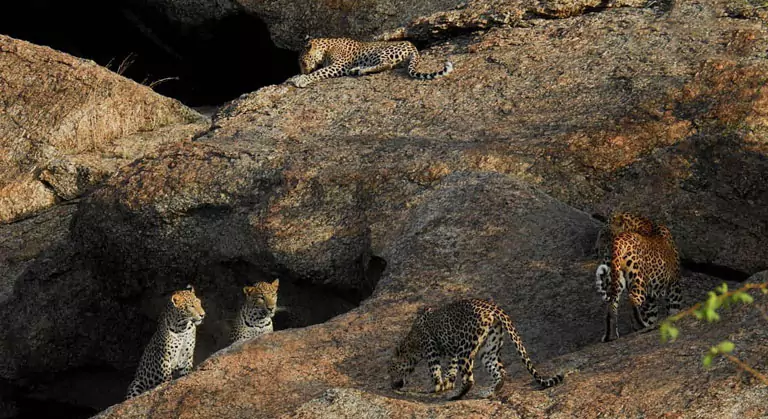 Rajasthan Hidden Gems