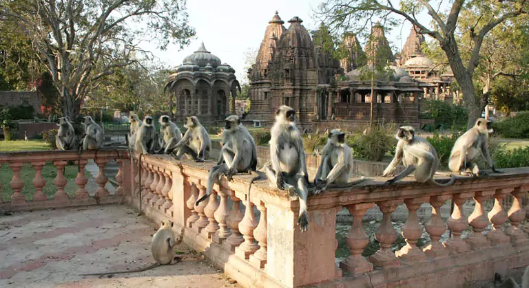 Offbeat Places in Rajasthan, Hidden Gems of Rajasthan, Rajasthan Travel Guide,
