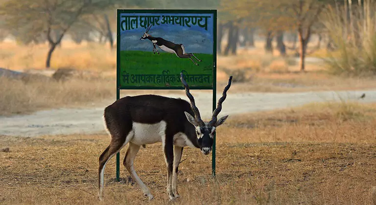 Rajasthan Travel Guide, Unexplored Rajasthan Destinations