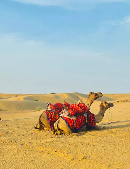 Rajasthan